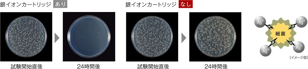 銀イオンカートリッジ試験結果